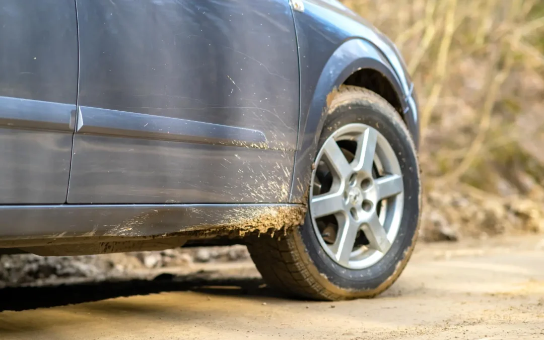 [PANTHERPARD] SEO SEP C01 1 1500x1000